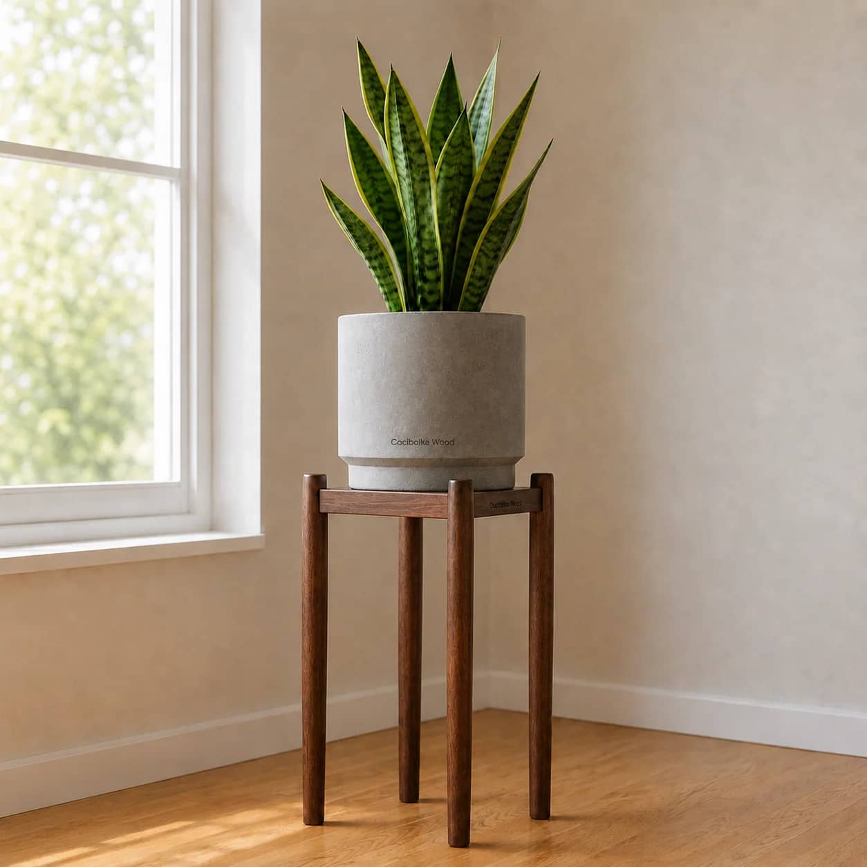 Set de macetera con planta y soporte de madera
