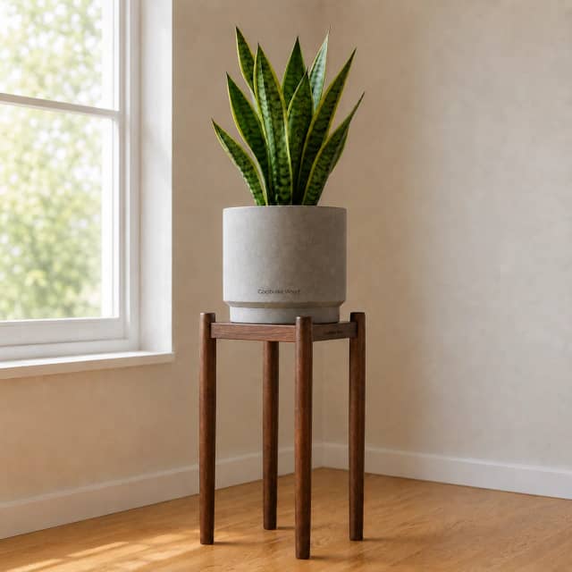 Set de macetera con planta y soporte de madera